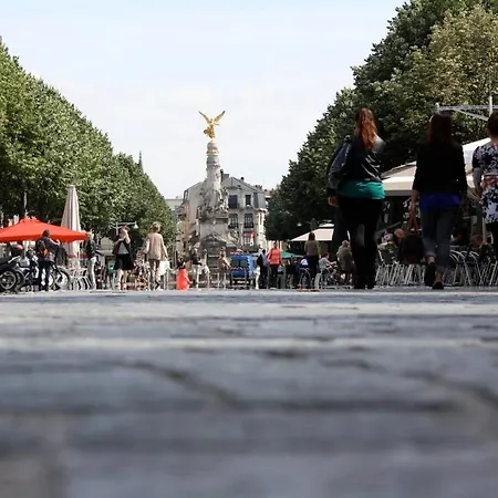 Apartamento Hyper Centre Secteur Cathedrale - Forum- Erlon *