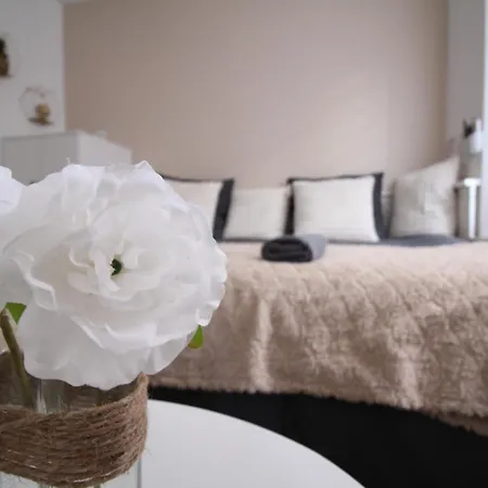 Hyper Centre Secteur Cathedrale - Forum- Erlon Daire Reims